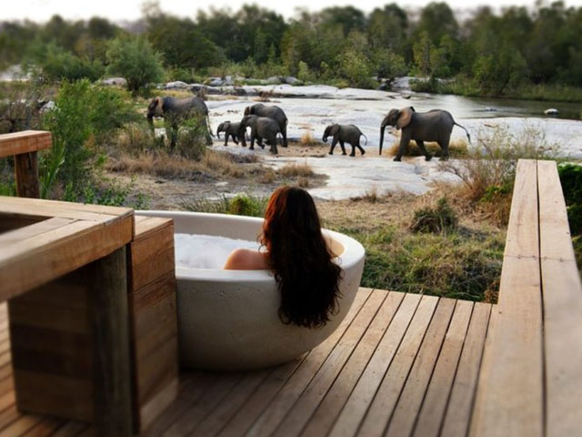 luxury-lodges-for-a-jungle